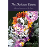 The Darkness Divine: A Loving Challenge to My Faith