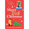 A Merry Irish Christmas