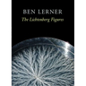 The Lichtenberg Figures