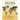 East and Southeast Asia 2024-2025