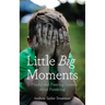 Little Big Moments: 51 Playful and Piercing Lessons about Parenting