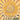 Sunny: Life Cycle Of A Sunflower, A Story Of Life And Love