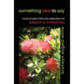 something new to say: words of spirit, faith and celebration for Advent and Christmas