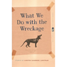 What We Do with the Wreckage: Stories