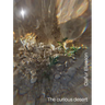 Olafur Eliasson: The Curious Desert