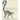 Primates of the World: An Illustrated Guide