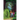 Ghouls of Greenbottom Ward