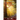 Awakening to the Heartbeat of God