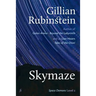 Skymaze