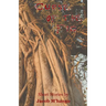 Curse of the Fig