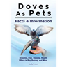 Doves As Pets: Breeding, Diet, Housing, Health, Where to Buy, Raising, and More. Facts & Information