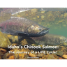 Idaho's Chinook Salmon: The Journey of a LIFE Cycle