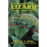 Learning from the Lizard