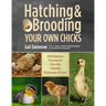 Hatching & Brooding Your Own Chicks: Chickens, Turkeys, Ducks, Geese, Guinea Fowl