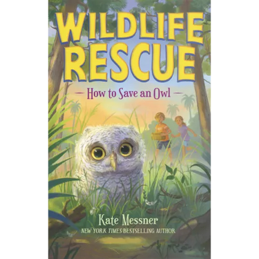 How to Save an Owl