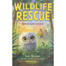 How to Save an Owl