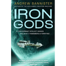 Iron Gods: A Novel of the Spin
