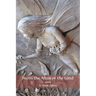 From the Altar of the Land: poems