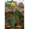 Stone Soup Magazine: June 2022
