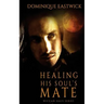 Healing His Soul's Mate