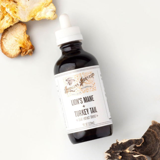 Lion's Mane + Turkey Tail Dual Extract Tincture by Hodgins Harvest