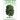The Sibley Guide to Trees