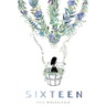 Sixteen: A Compilation of Poems