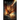 Dragon Legends