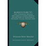 Agriculture V1: Soils, Formation, Physical And Chemical Characteristics And Methods Of Improvement, Including Tillage, Drainage And Irrigation (1911)