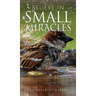 Believe in Small Miracles: Look for small miracles in your life.