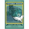 The Storm Inside