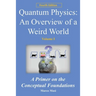 Quantum Physics - An Overview of a Weird World: A primer on the conceptual foundations