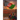 We will return to gather the tulips