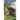 Wagons & Wyverns