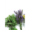 Alternative Medicines