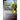 Death on the Vine