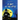 A Bat in the Attic