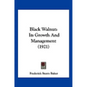 Black Walnut: Its Growth And Management (1921)