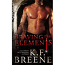 Braving the Elements (Darkness, 2)
