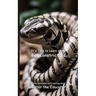 It's Time to Learn about Boa Constrictors