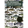 Freshwater Fishes of Manitoba