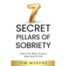 7 Secret Pillars of Sobriety: What To Do When AA and 12 Steps Aren't For You