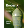 Exodus: General Idea of the Revolution in the XXI Century