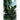 Four Roads Cross