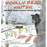 Woolly Bear Winter: How North Woods Creatures Weather the Cold