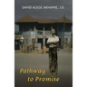 Pathway to Promise
