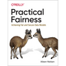 Practical Fairness: Achieving Fair and Secure Data Models