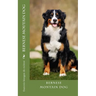 bernese moutain dog