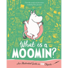 What Is a Moomin? an Illustrated Guide in 100 Objects