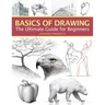 Basics of Drawing: The Ultimate Guide for Beginners